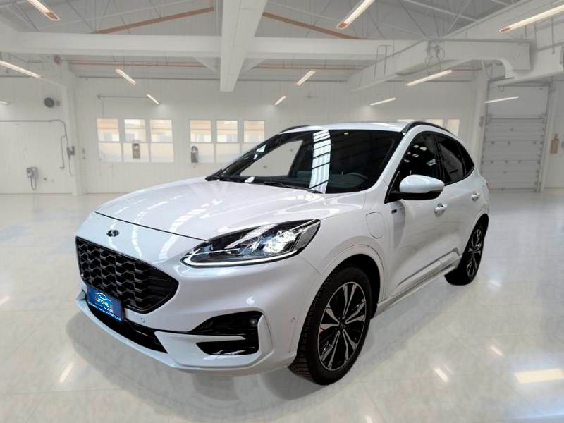 Ford Kuga III (2019 - ) image