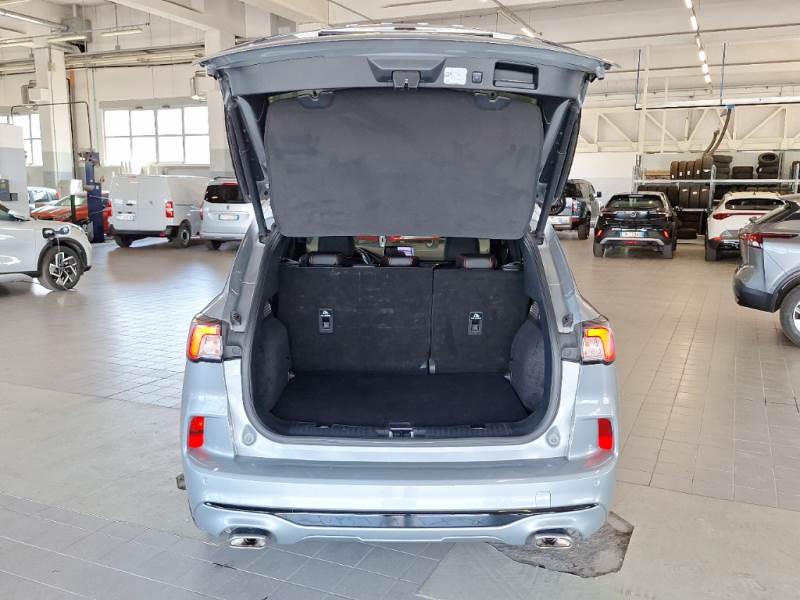 Ford Kuga III (2019 - ) image