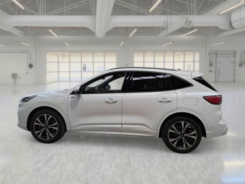 Ford Kuga III (2019 - ) image